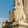 Statue de lion à la place Santa Croce